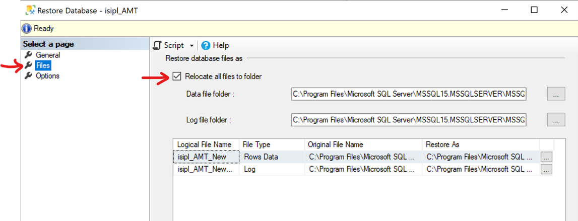 How do I refresh my AMT test server database?