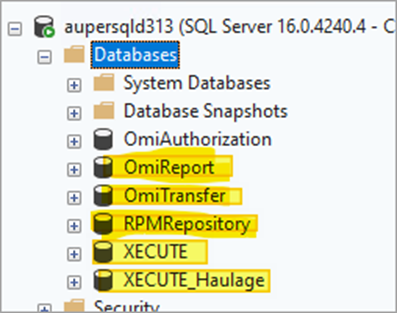 How do I port XECUTE and EPF databases from one environment to another?